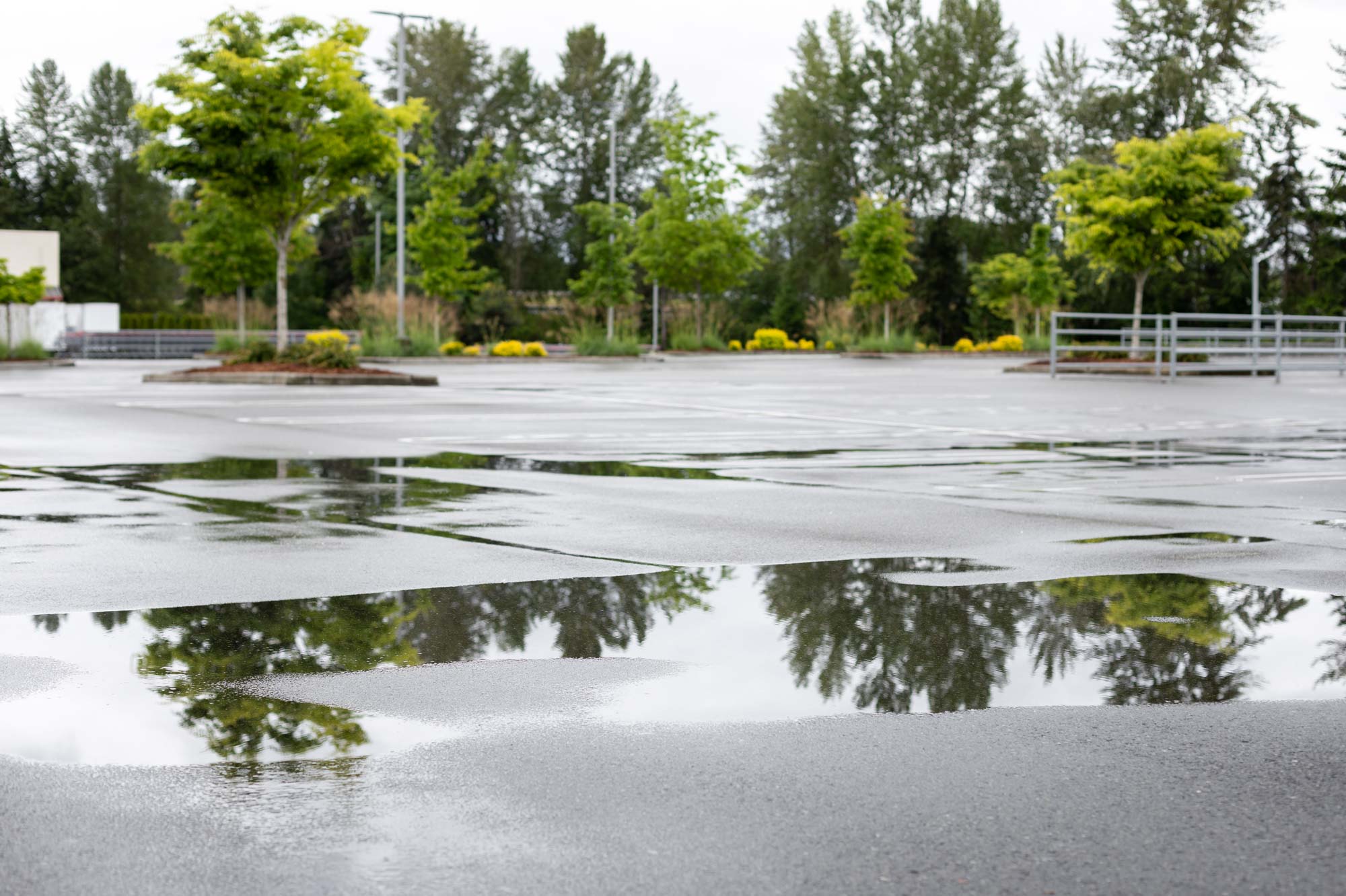 How Do You Fix Standing Water on Asphalt?